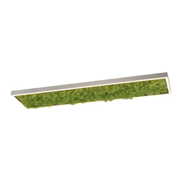 Lampa sufitowa GREEN KNUT 15623-66 Leuchten Direkt