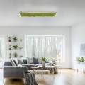 Lampa sufitowa GREEN KNUT 15623-66 Leuchten Direkt