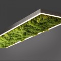 Lampa sufitowa GREEN KNUT 15623-66 Leuchten Direkt