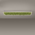 Lampa sufitowa GREEN KNUT 15623-66 Leuchten Direkt