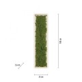 Lampa sufitowa GREEN KNUT 15623-66 Leuchten Direkt