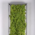 Lampa sufitowa GREEN KNUT 15623-66 Leuchten Direkt