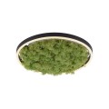 Lampa sufitowa GREEN RITUS 15391-66 Leuchten Direkt