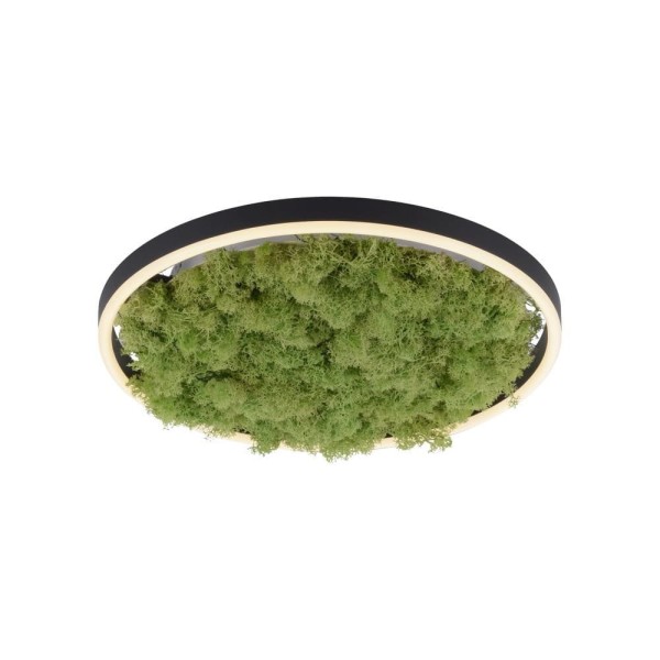 Lampa sufitowa GREEN RITUS 15391-66 Leuchten Direkt