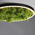 Lampa sufitowa GREEN RITUS 15391-66 Leuchten Direkt