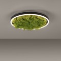 Lampa sufitowa GREEN RITUS 15391-66 Leuchten Direkt