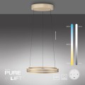 Lampa wisząca PURE E-LOOP Mosiądz LED 2700-5000K 2550-60 Paul Neuhause
