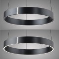 Lampa wisząca PURE E-CLIPSE Szary LED 2700-5000K 2560-15 Paul Neuhause