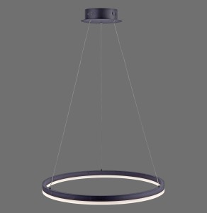 Lampa wisząca TITUS Paul Neuhaus 2382-13