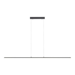 Lampa wisząca PURE-LITE Paul Neuhaus 8377-13