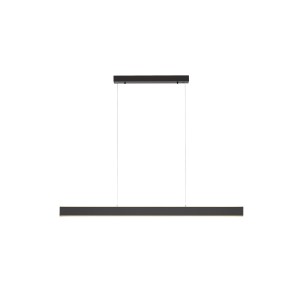 Lampa wisząca PURE-LUME Paul Neuhaus 2738-13