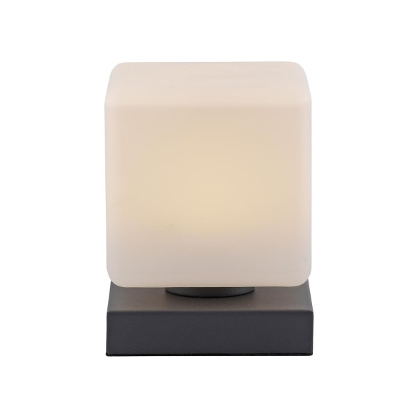 Lampa stołowa DADOA Paul Neuhaus 4036-13