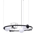 Lampa wisząca nowoczesny kwietnik PLANT 3xE27 szklane kule  5005 Zuma Line
