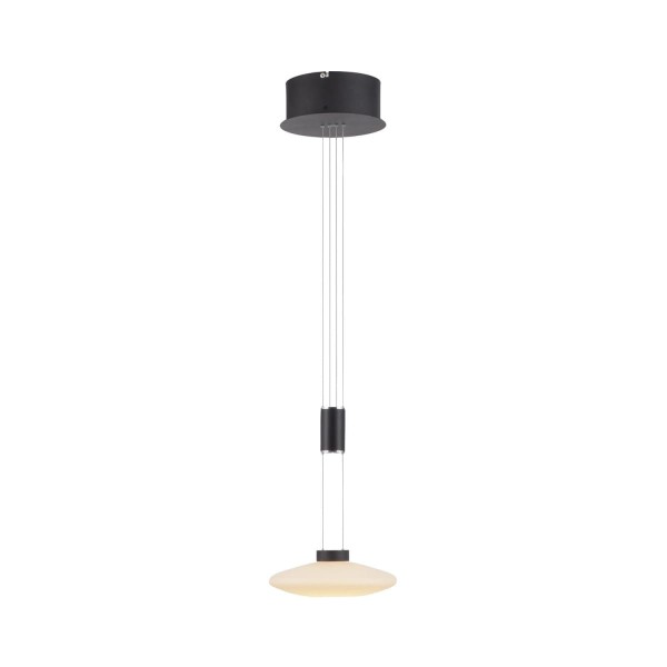 Lampa wisząca sufitowa LAUTADA 1 - punktowa czarny PaulNeuhaus - 2080-18