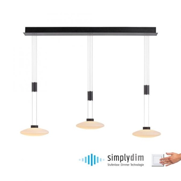 Lampa wisząca sufitowa LAUTADA 3 - punktowa czarny PaulNeuhaus - 2081-18