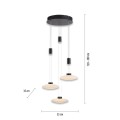 Lampa wisząca sufitowa LAUTADA 3 - punktowa czarny PaulNeuhaus - 2082-18