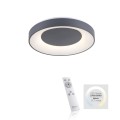 Lampa sufitowa plafon LED ANIKA 1 - punktowa szary LeuchtenDirekt - 14326-18