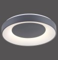 Lampa sufitowa plafon LED ANIKA 1 - punktowa szary LeuchtenDirekt - 14326-18