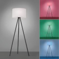 Lampa podłogowa stojąca HOLLY 1 - punktowa czarny LeuchtenDirekt - 19827-18