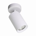 Lampa sufitowa reflektorek TORE biały, regulowany spot GU10 TLS006-WH Zuma Line