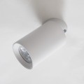 Lampa sufitowa reflektorek TORE biały, regulowany spot GU10 TLS006-WH Zuma Line